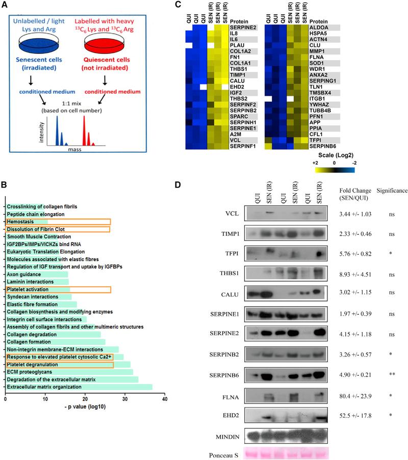 https://cdn.ncbi.nlm.nih.gov/pmc/blobs/34a2/6907691/3c559a82e338/nihms-1543784-f0002.jpg