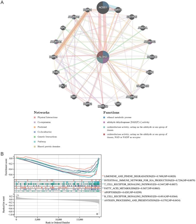 https://cdn.ncbi.nlm.nih.gov/pmc/blobs/34a9/9772952/4134e29c263b/10.1177_11769351221139252-fig6.jpg