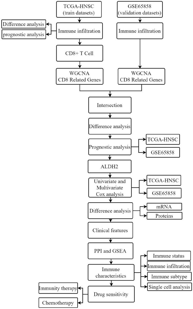 https://cdn.ncbi.nlm.nih.gov/pmc/blobs/34a9/9772952/6a970e0a587e/10.1177_11769351221139252-fig1.jpg