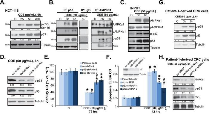 https://cdn.ncbi.nlm.nih.gov/pmc/blobs/34b5/5216768/426bd33dca4c/oncotarget-07-45889-g005.jpg