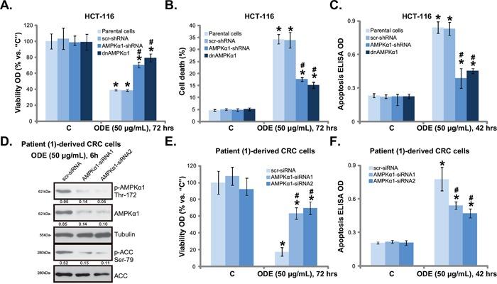 https://cdn.ncbi.nlm.nih.gov/pmc/blobs/34b5/5216768/a142f800fb22/oncotarget-07-45889-g004.jpg