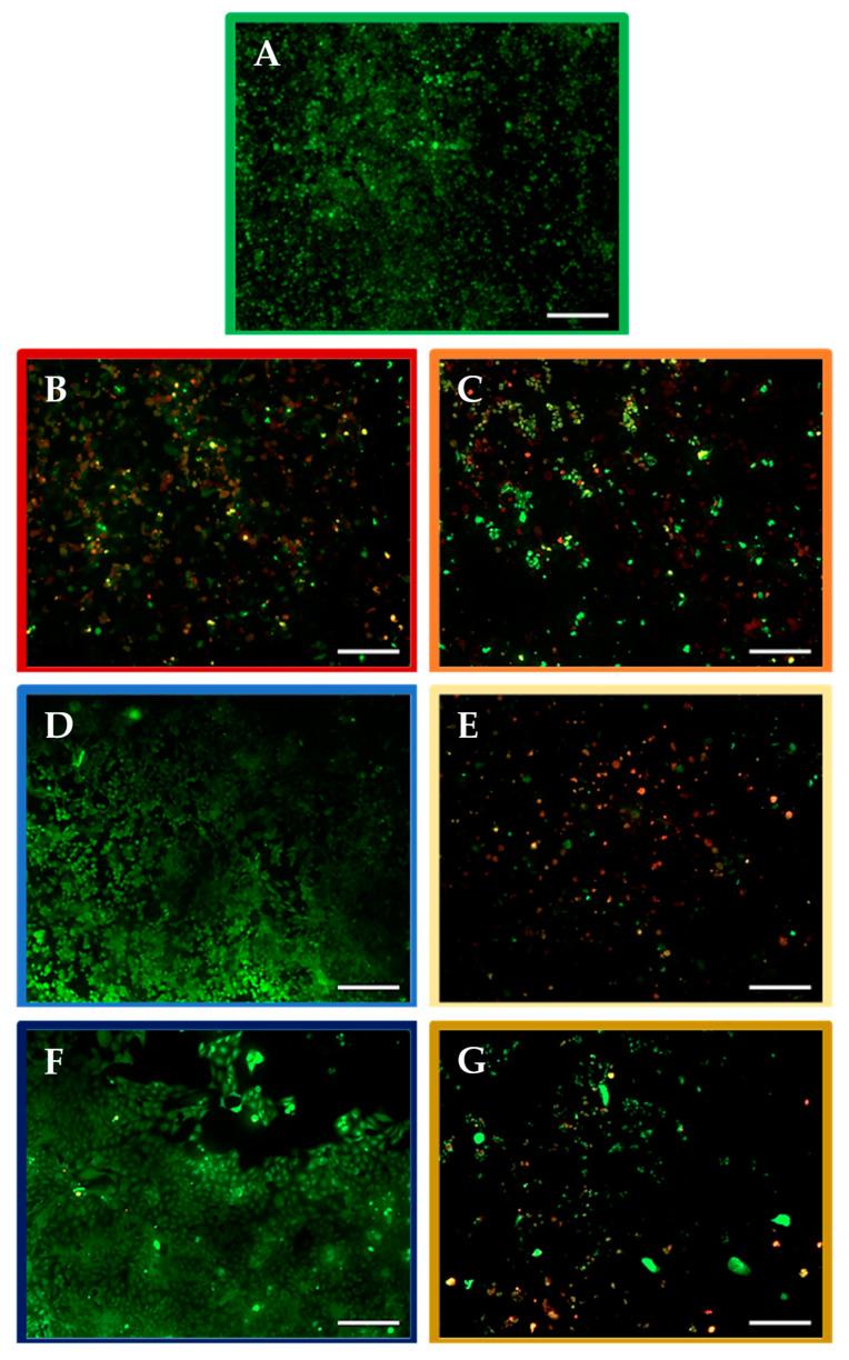 https://cdn.ncbi.nlm.nih.gov/pmc/blobs/34bf/9105272/58f0acdeffb6/molecules-27-02824-g004.jpg