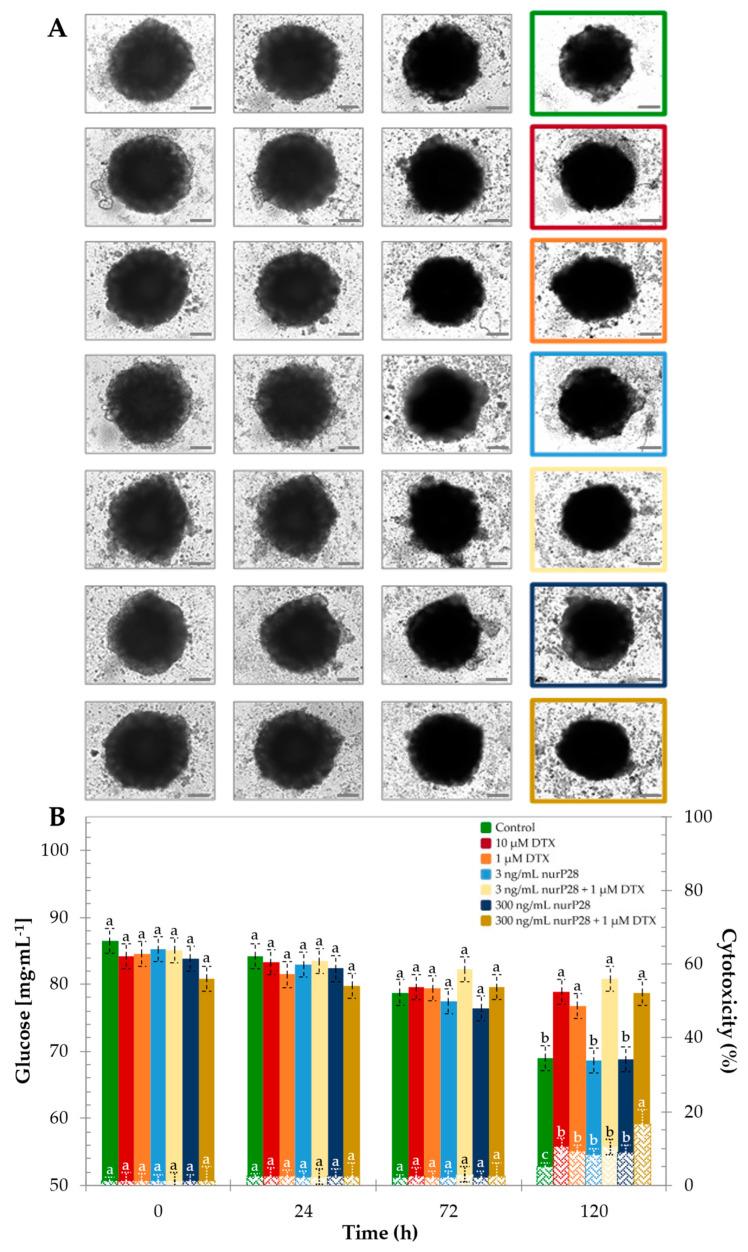 https://cdn.ncbi.nlm.nih.gov/pmc/blobs/34bf/9105272/e5f2ae9cb243/molecules-27-02824-g006.jpg