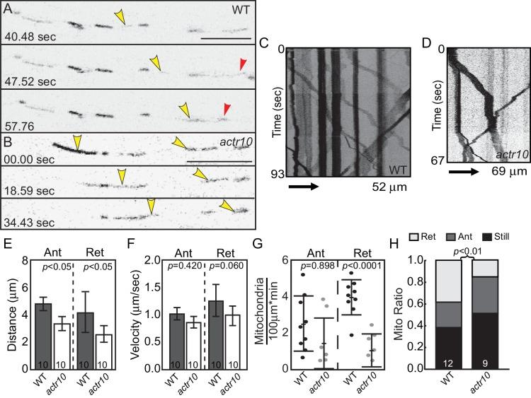 https://cdn.ncbi.nlm.nih.gov/pmc/blobs/34c3/5413347/afcd4dbbf5a9/elife-22234-fig4.jpg