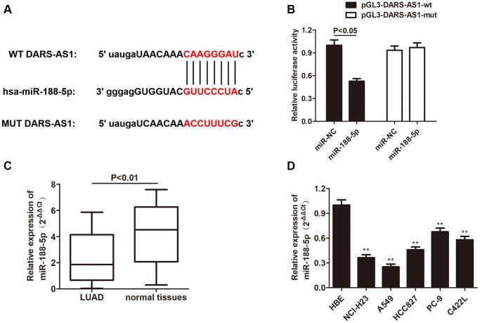 https://cdn.ncbi.nlm.nih.gov/pmc/blobs/34c8/8544313/bb73396dd581/aging-13-203632-g005.jpg