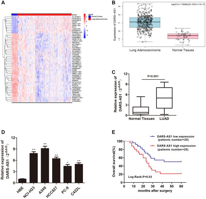 https://cdn.ncbi.nlm.nih.gov/pmc/blobs/34c8/8544313/da415bd1e02a/aging-13-203632-g001.jpg