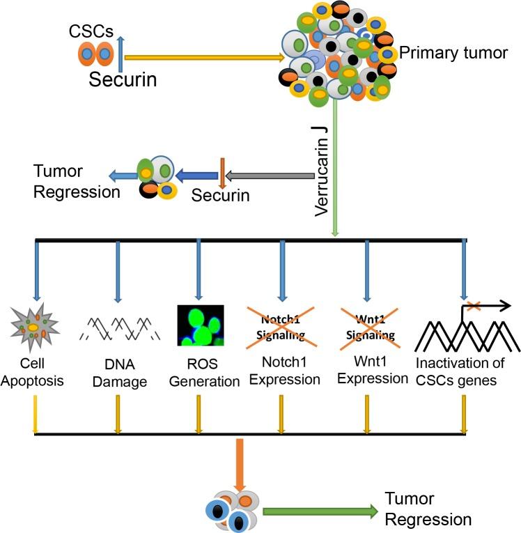 https://cdn.ncbi.nlm.nih.gov/pmc/blobs/34e5/5696218/6c13e50ea923/oncotarget-08-92743-g010.jpg