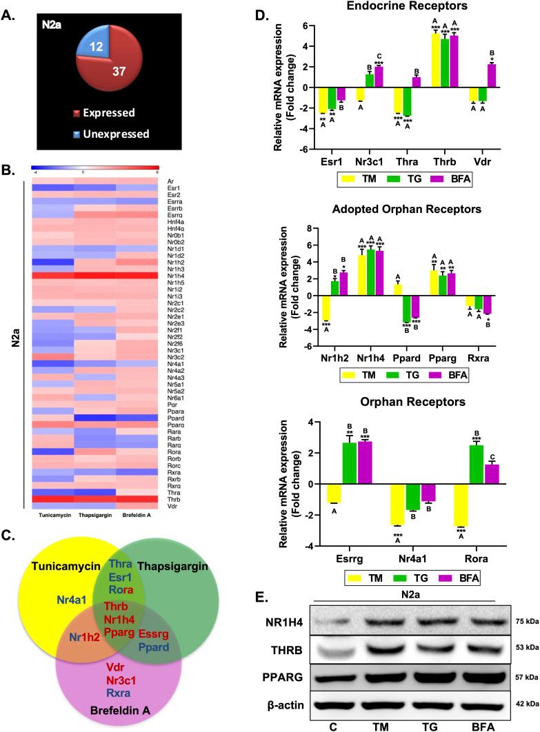 https://cdn.ncbi.nlm.nih.gov/pmc/blobs/3502/11015051/4259d0612290/LSA-2023-02416_Fig1.jpg