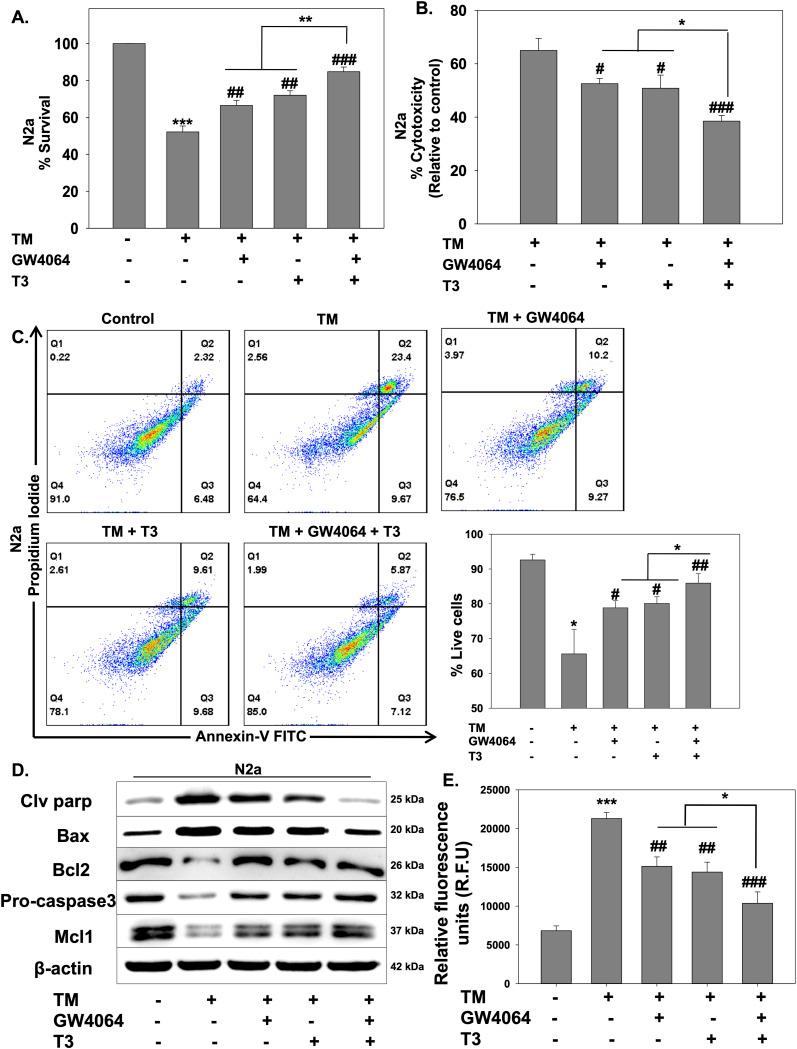 https://cdn.ncbi.nlm.nih.gov/pmc/blobs/3502/11015051/7b802496ea02/LSA-2023-02416_Fig3.jpg