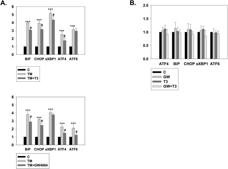 https://cdn.ncbi.nlm.nih.gov/pmc/blobs/3502/11015051/b84eab2f5dc7/LSA-2023-02416_FigS2.jpg