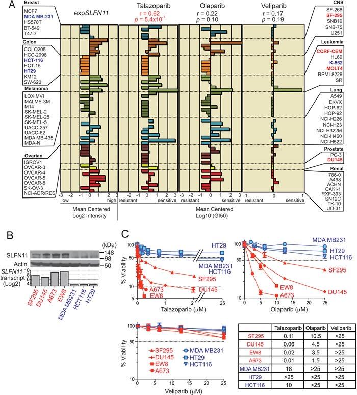 https://cdn.ncbi.nlm.nih.gov/pmc/blobs/3507/5340226/0b85cb266cdc/oncotarget-07-76534-g001.jpg