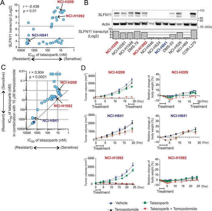 https://cdn.ncbi.nlm.nih.gov/pmc/blobs/3507/5340226/63921a143153/oncotarget-07-76534-g005.jpg