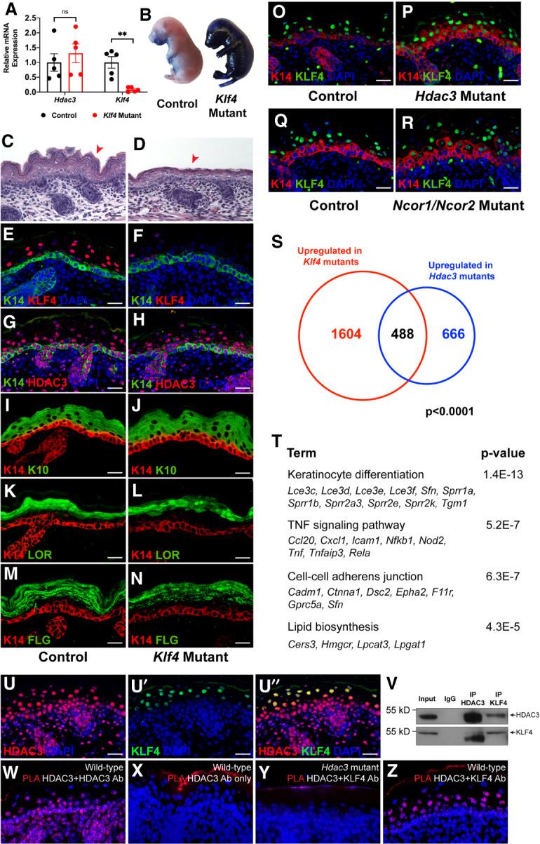 https://cdn.ncbi.nlm.nih.gov/pmc/blobs/3565/7328513/8b1967742e66/973f06.jpg