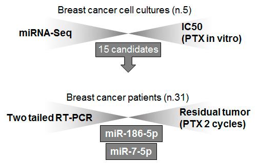 https://cdn.ncbi.nlm.nih.gov/pmc/blobs/357d/10571055/b375c6189db1/cdr-6-3-596.fig.1.jpg