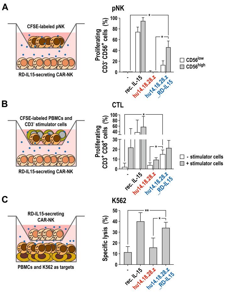 https://cdn.ncbi.nlm.nih.gov/pmc/blobs/3581/10486391/c000d9f362df/cancers-15-04310-g007.jpg