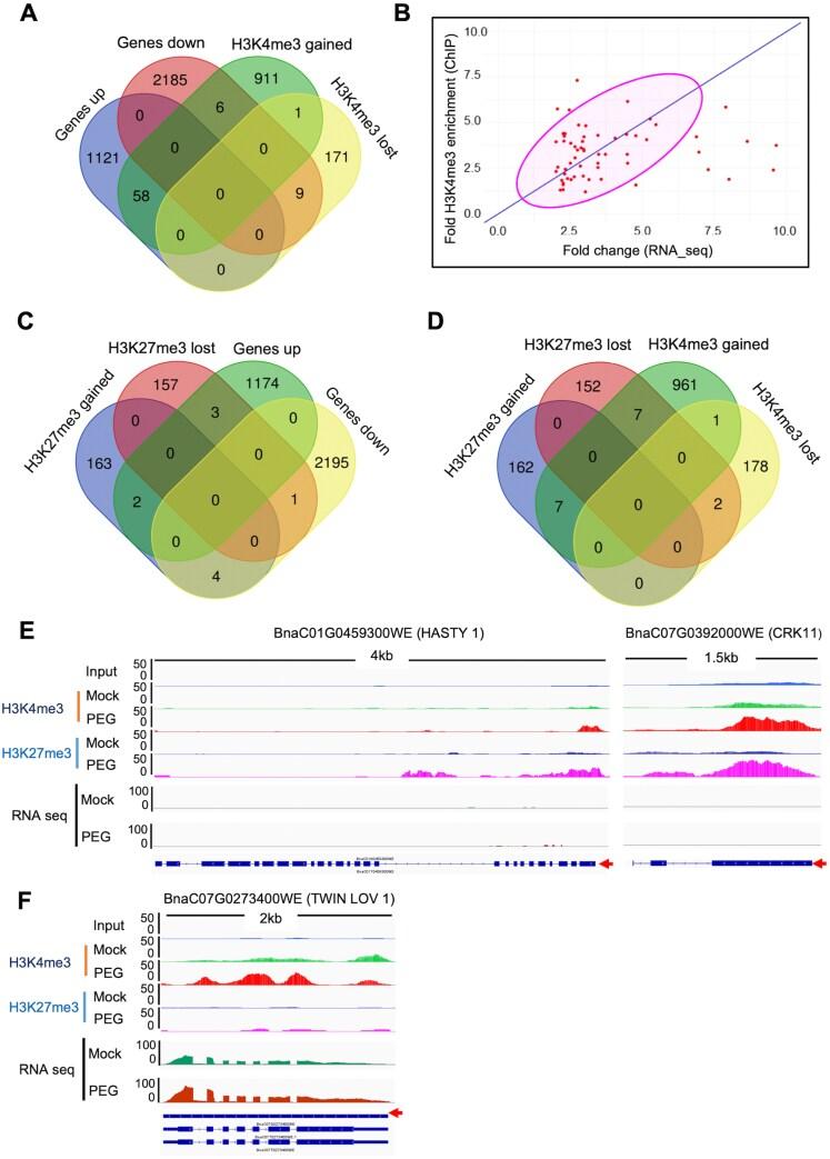 https://cdn.ncbi.nlm.nih.gov/pmc/blobs/3589/12192427/af2b3c18f1ae/eraf123_fig6.jpg