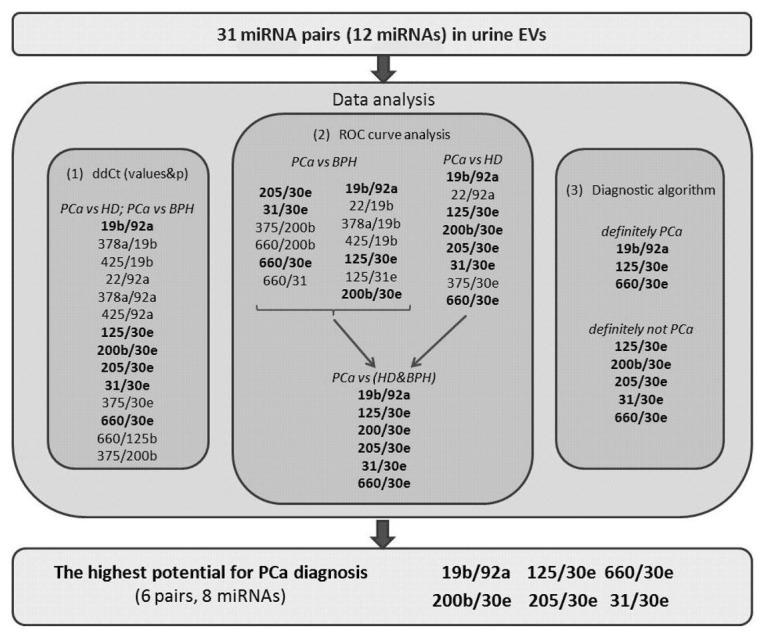 https://cdn.ncbi.nlm.nih.gov/pmc/blobs/35b5/7168237/38d99a9e143a/diagnostics-10-00038-g002.jpg