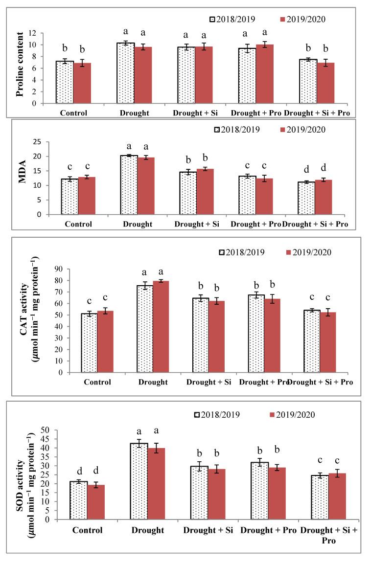 https://cdn.ncbi.nlm.nih.gov/pmc/blobs/35b5/8000334/2127afe32ecb/antioxidants-10-00398-g004.jpg