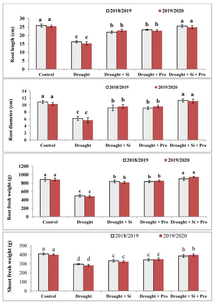 https://cdn.ncbi.nlm.nih.gov/pmc/blobs/35b5/8000334/ec911168f02d/antioxidants-10-00398-g001.jpg