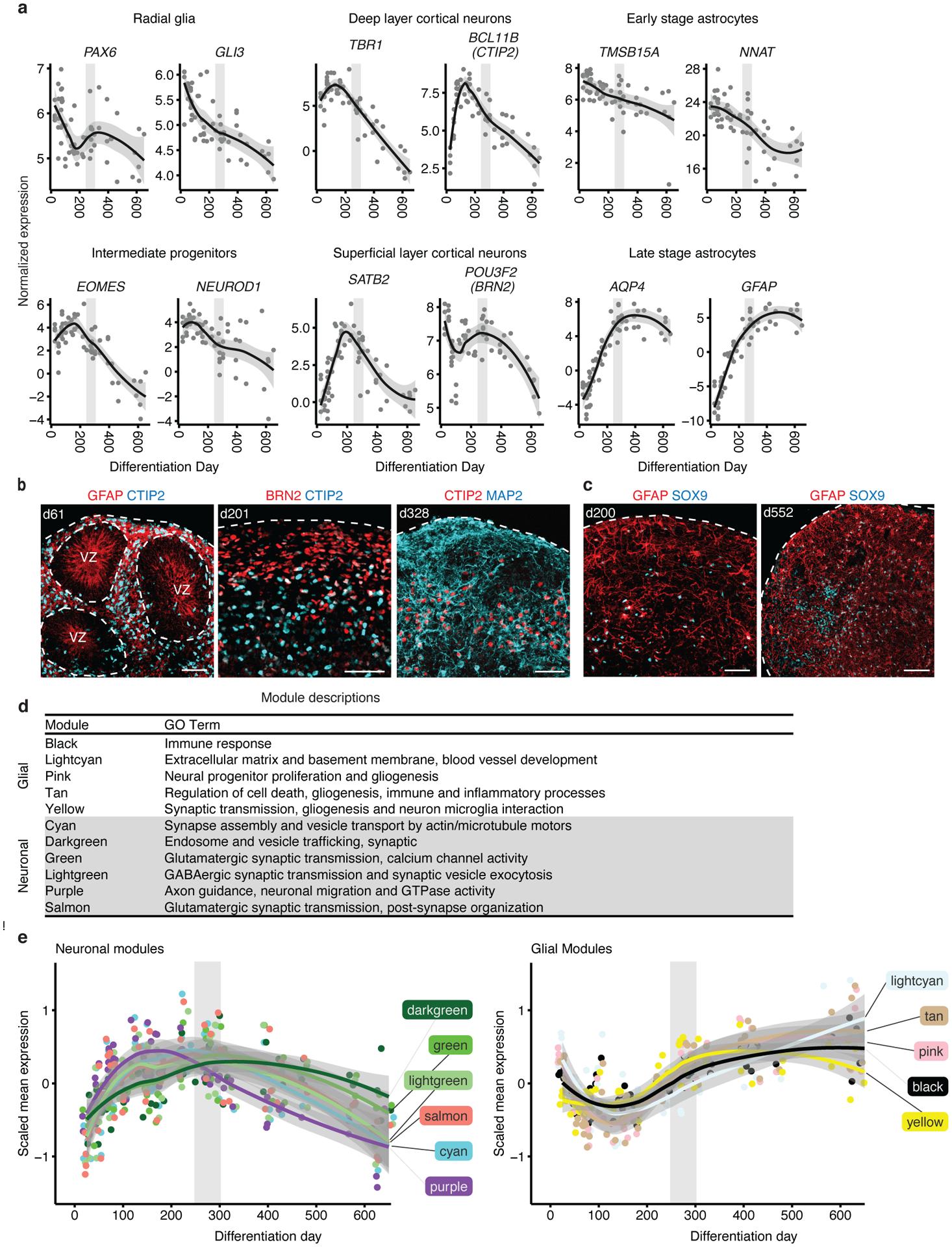 https://cdn.ncbi.nlm.nih.gov/pmc/blobs/35b6/8109149/68c62a9b9579/nihms-1662702-f0002.jpg