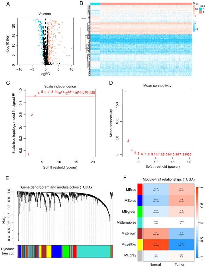 https://cdn.ncbi.nlm.nih.gov/pmc/blobs/35b8/11877015/54d2b433faf2/ol-29-04-14937-g00.jpg