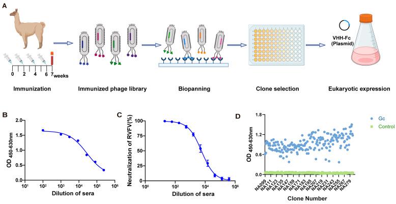 https://cdn.ncbi.nlm.nih.gov/pmc/blobs/35be/12031069/188ab7444abc/viruses-17-00559-g001.jpg