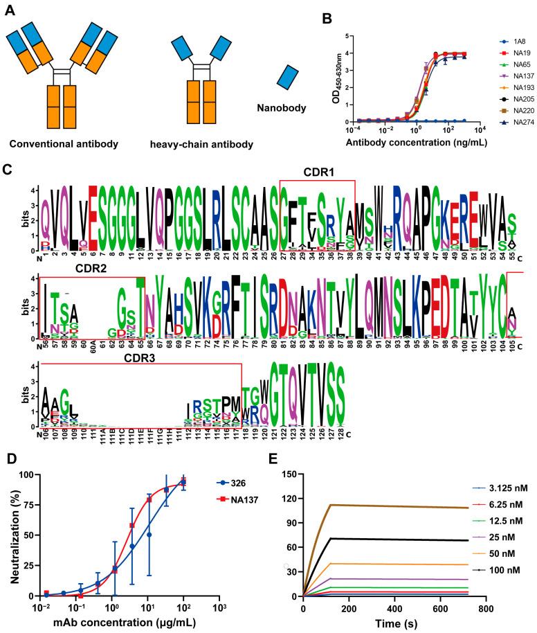 https://cdn.ncbi.nlm.nih.gov/pmc/blobs/35be/12031069/9db95491a669/viruses-17-00559-g002.jpg