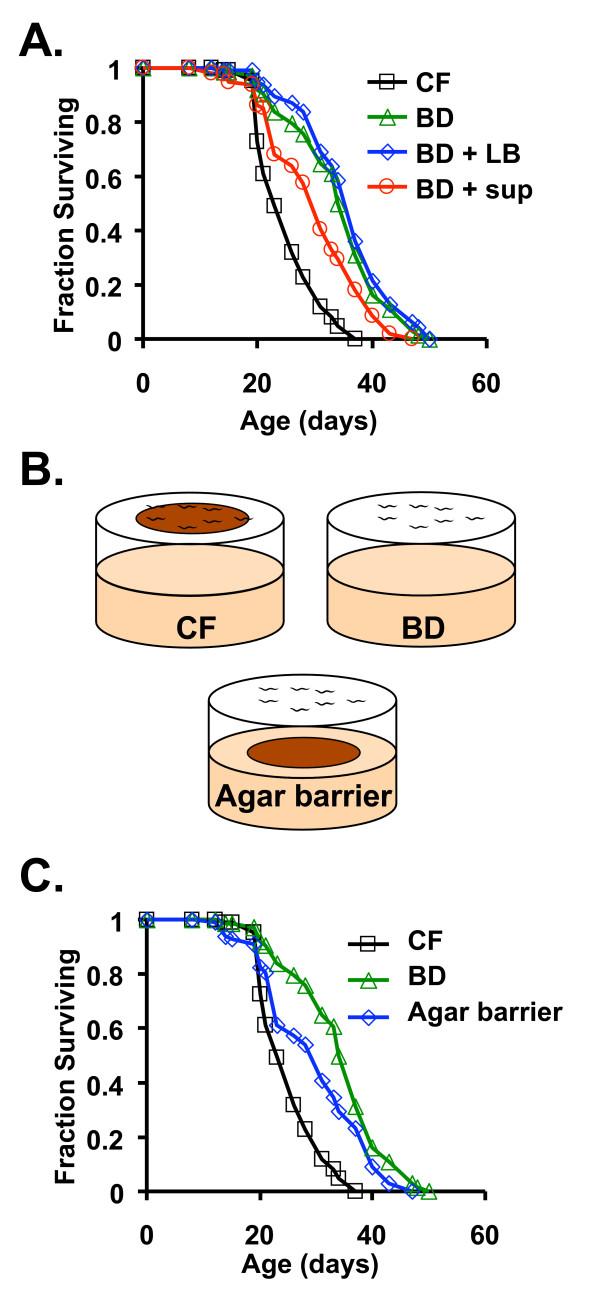 https://cdn.ncbi.nlm.nih.gov/pmc/blobs/35be/2408926/632c7eda12db/1471-213X-8-49-5.jpg