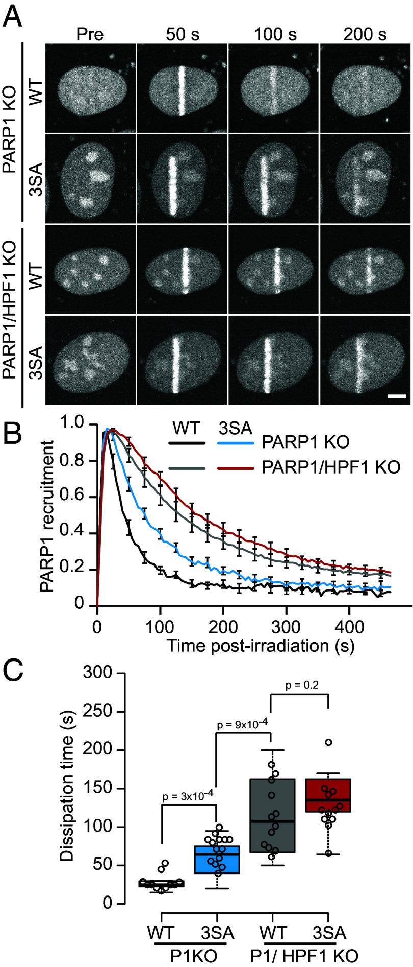 https://cdn.ncbi.nlm.nih.gov/pmc/blobs/35c2/11194589/cba02f760b7f/pnas.2322689121fig01.jpg