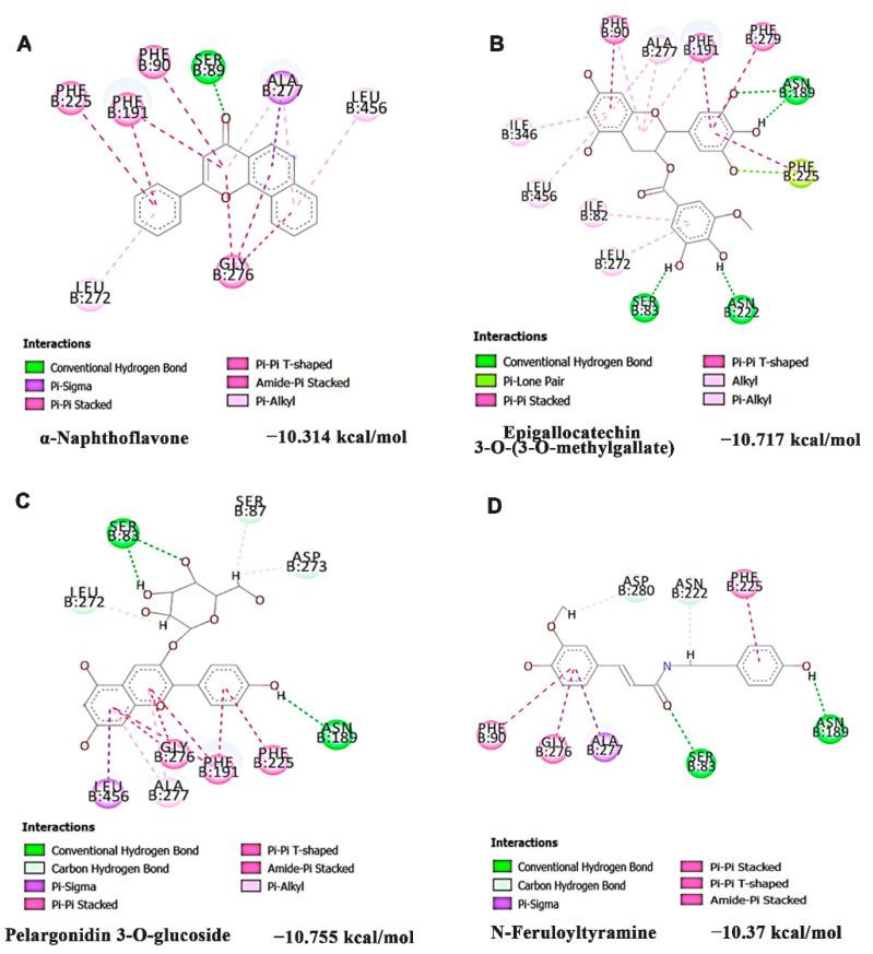 https://cdn.ncbi.nlm.nih.gov/pmc/blobs/35cf/9502750/0e9136db9ca6/nutrients-14-03829-g004.jpg