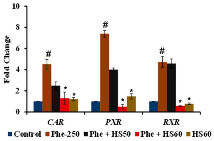 https://cdn.ncbi.nlm.nih.gov/pmc/blobs/35cf/9502750/eb3ed40aee18/nutrients-14-03829-g005.jpg