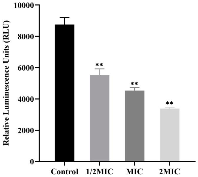https://cdn.ncbi.nlm.nih.gov/pmc/blobs/35e5/10746055/3eea78c27d25/microorganisms-11-02958-g004.jpg