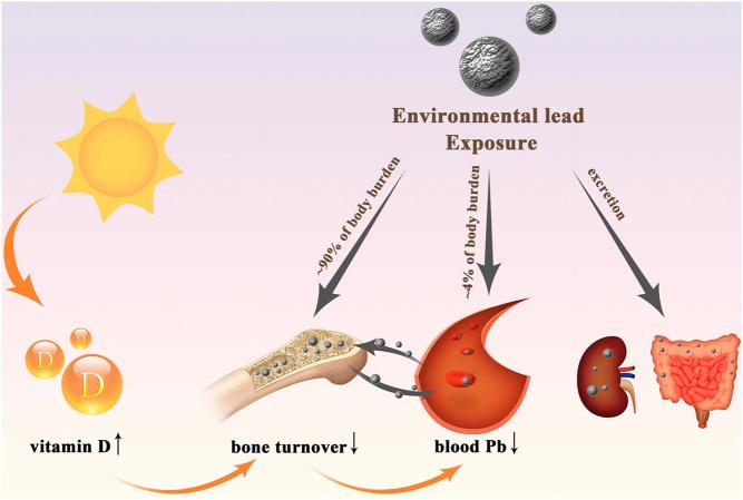 https://cdn.ncbi.nlm.nih.gov/pmc/blobs/35fc/8133370/10a316995aa7/EC-21-0006fig3.jpg