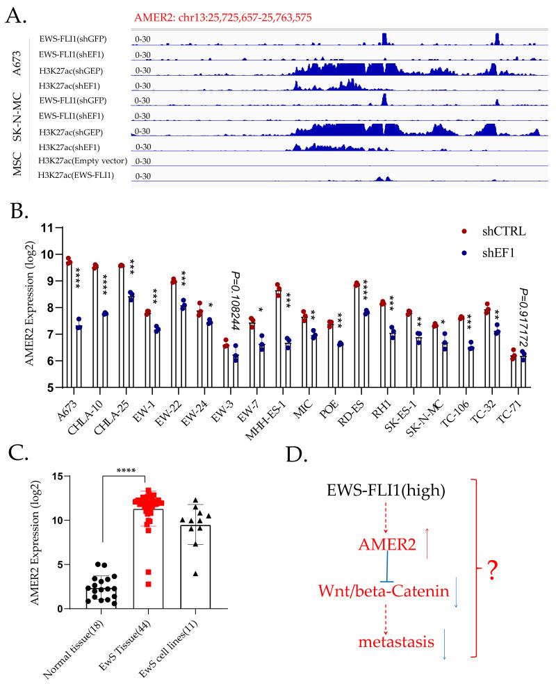 https://cdn.ncbi.nlm.nih.gov/pmc/blobs/3607/10452796/6d1025ea0041/cancers-15-04035-g002.jpg