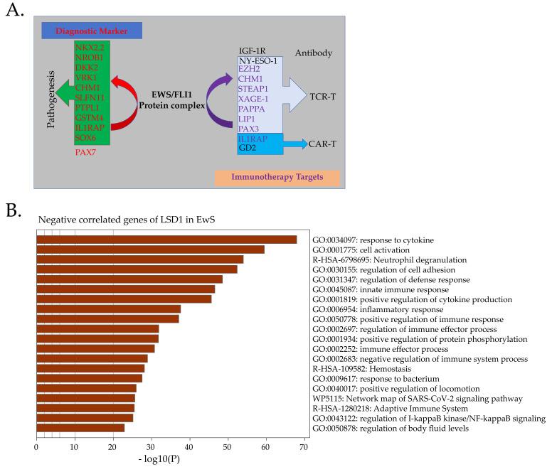 https://cdn.ncbi.nlm.nih.gov/pmc/blobs/3607/10452796/d9ab19b72d1d/cancers-15-04035-g003.jpg