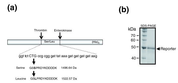 https://cdn.ncbi.nlm.nih.gov/pmc/blobs/3607/2246281/d243cec8cf7a/gb-2007-8-10-r206-1.jpg