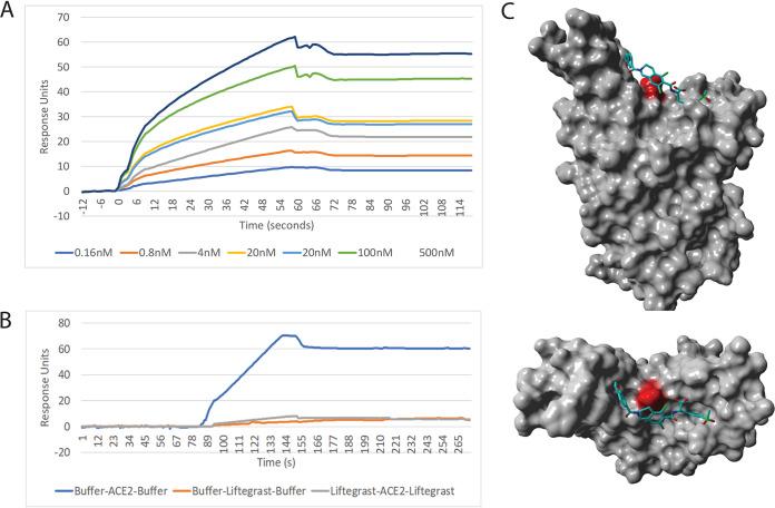 https://cdn.ncbi.nlm.nih.gov/pmc/blobs/360c/8092326/6a33b2bb36a5/mBio.03681-20_f003.jpg
