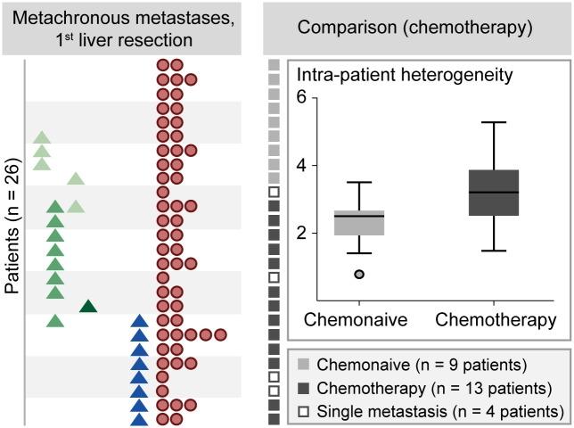 https://cdn.ncbi.nlm.nih.gov/pmc/blobs/361f/4966938/fd8db227d802/pgen.1006225.g004.jpg