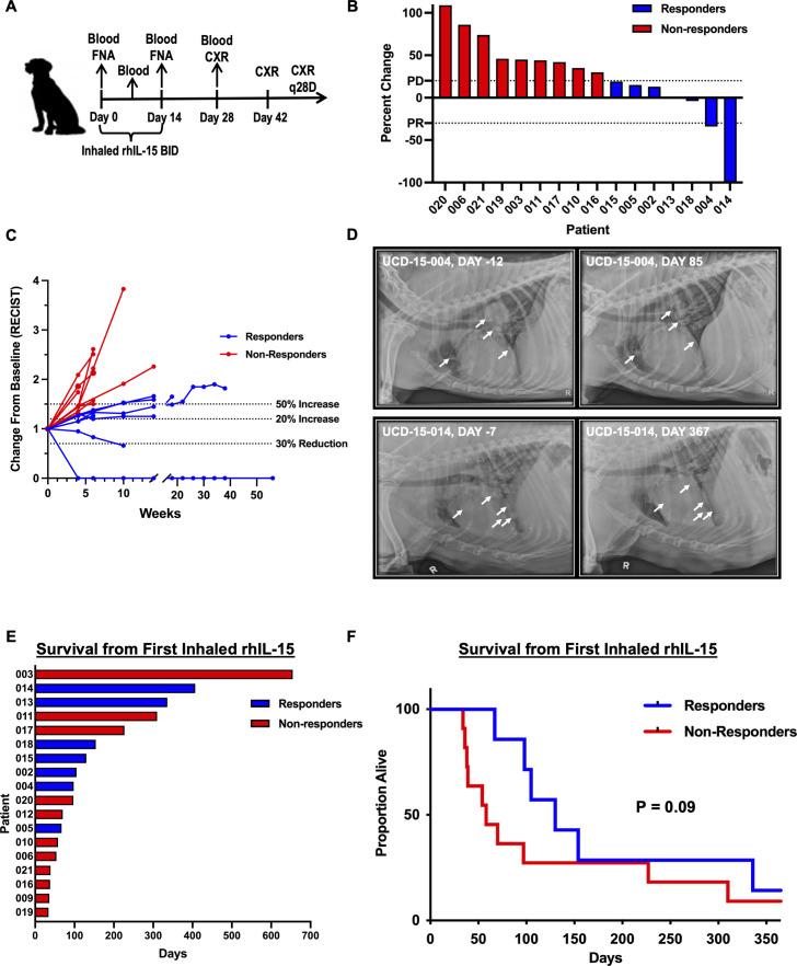 https://cdn.ncbi.nlm.nih.gov/pmc/blobs/362a/9174838/8946ac0d1514/jitc-2022-004493f01.jpg