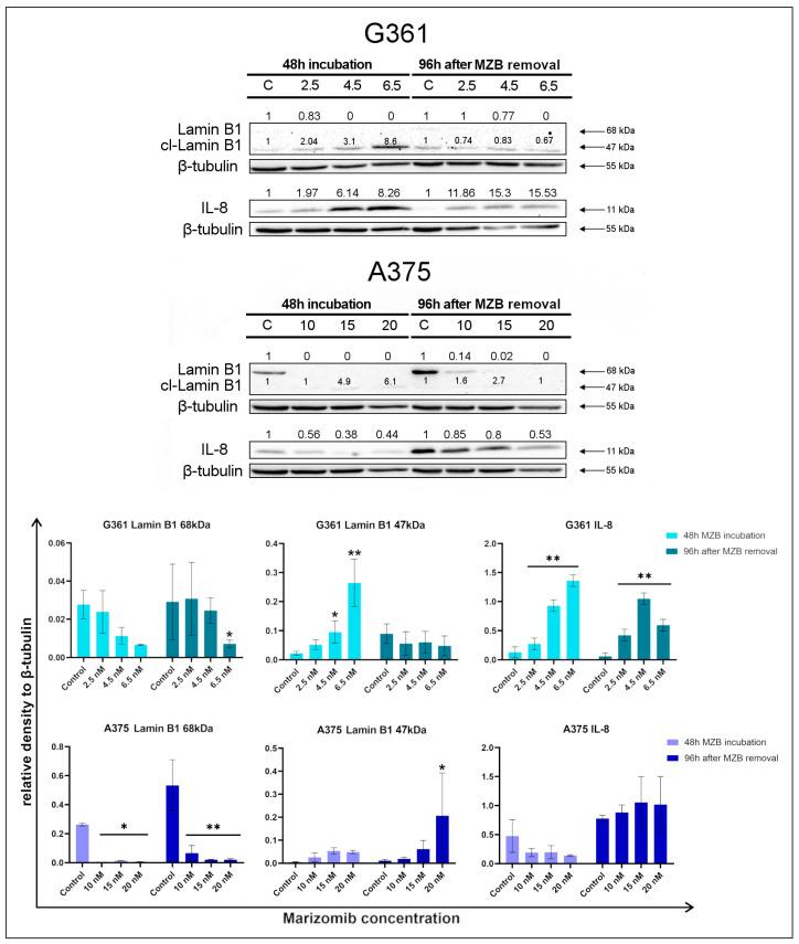 https://cdn.ncbi.nlm.nih.gov/pmc/blobs/3632/11643135/807b31dff3cc/molecules-29-05652-g002.jpg