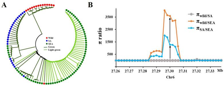 https://cdn.ncbi.nlm.nih.gov/pmc/blobs/3635/10610206/c0e178683d62/plants-12-03585-g006.jpg