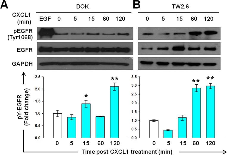 https://cdn.ncbi.nlm.nih.gov/pmc/blobs/363d/4770743/2c3457458ad1/oncotarget-06-38866-g005.jpg