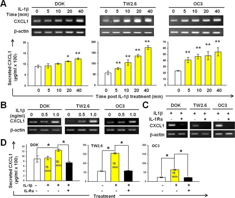 https://cdn.ncbi.nlm.nih.gov/pmc/blobs/363d/4770743/c918f4cfa0ba/oncotarget-06-38866-g003.jpg