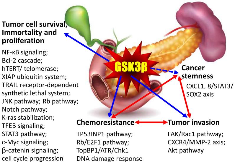 https://cdn.ncbi.nlm.nih.gov/pmc/blobs/369a/10838383/ea85d6a2293e/cdr-7-4.fig.3.jpg
