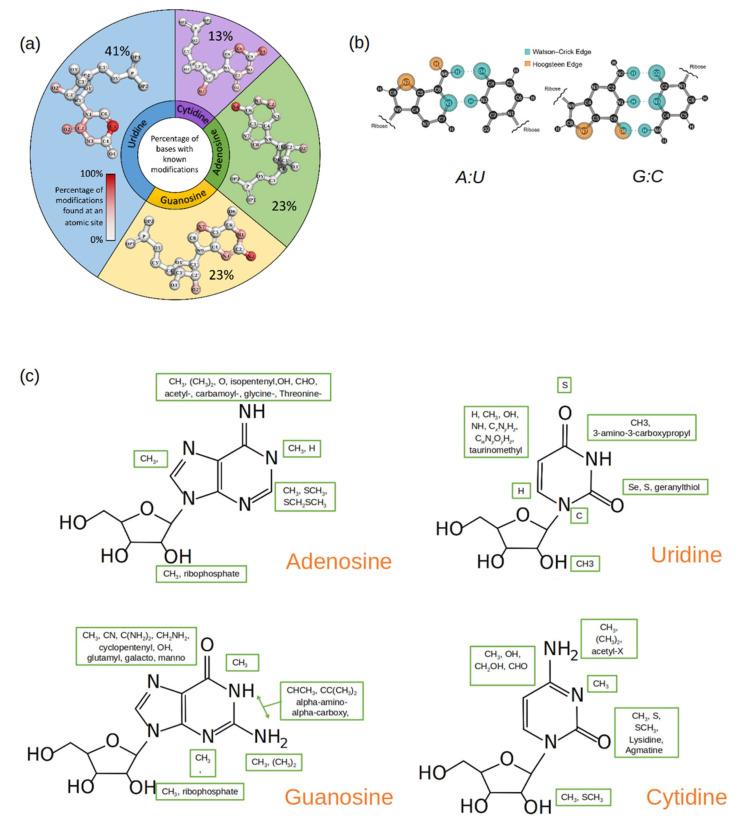 https://cdn.ncbi.nlm.nih.gov/pmc/blobs/36b4/8949676/4c7594a198d9/genes-13-00540-g002.jpg