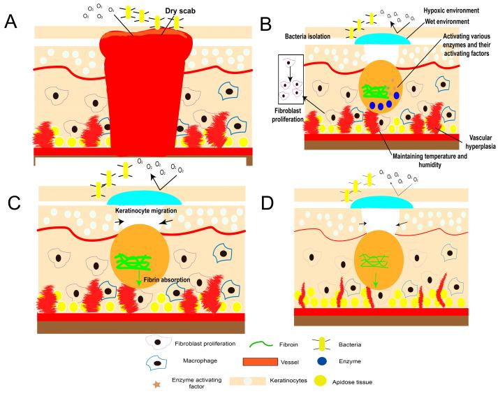 https://cdn.ncbi.nlm.nih.gov/pmc/blobs/36c7/10530416/afe93f2b07b3/gels-09-00738-g002.jpg