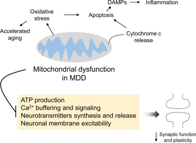 https://cdn.ncbi.nlm.nih.gov/pmc/blobs/36ca/9812797/72989d14e36d/41380_2022_1806_Fig4_HTML.jpg
