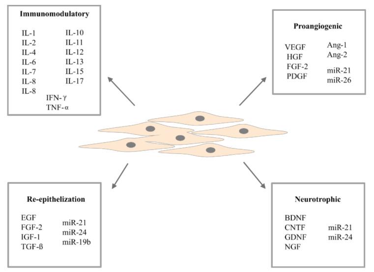 https://cdn.ncbi.nlm.nih.gov/pmc/blobs/36cd/8231996/f2fc6bb24203/biomolecules-11-00878-g001.jpg