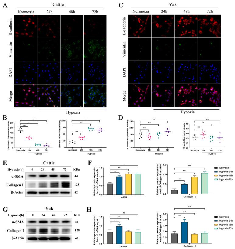 https://cdn.ncbi.nlm.nih.gov/pmc/blobs/36e0/12025222/4ac0b81e5d00/biomolecules-15-00556-g002.jpg