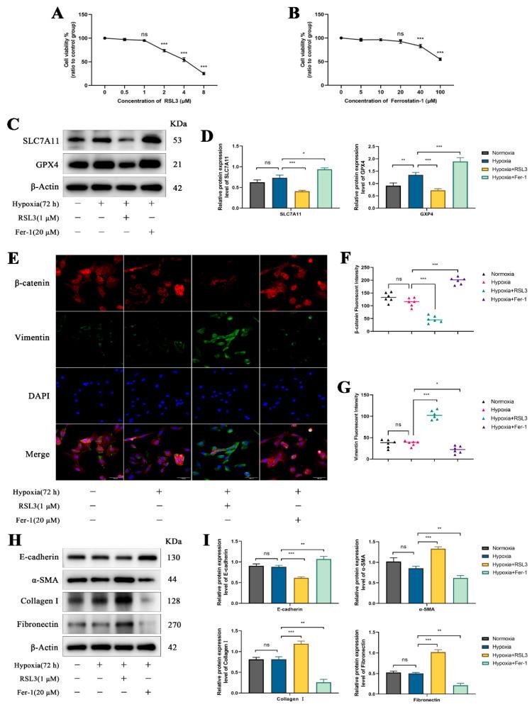 https://cdn.ncbi.nlm.nih.gov/pmc/blobs/36e0/12025222/a8619d776745/biomolecules-15-00556-g006.jpg